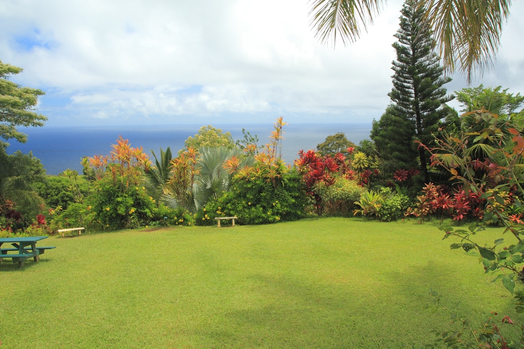 Tree Removal | Mana Home Services proudly serving the Oahu, Honolulu, & Hawaii Kai and surrounding areas