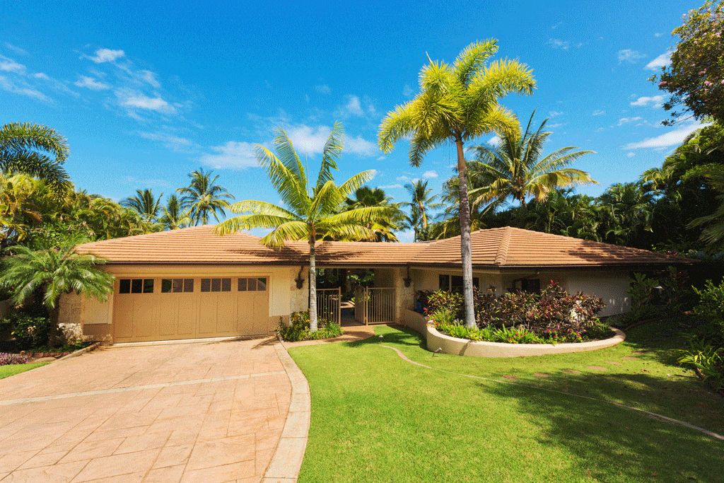 home in hawaii with lots of trees palm tree trimming honalulu hi kailua hi 