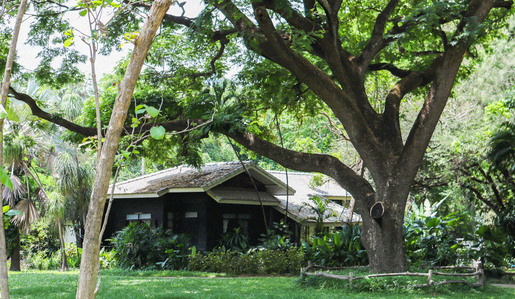 home in hawaii with lots of trees soil analysis honalulu hi kailua hi 