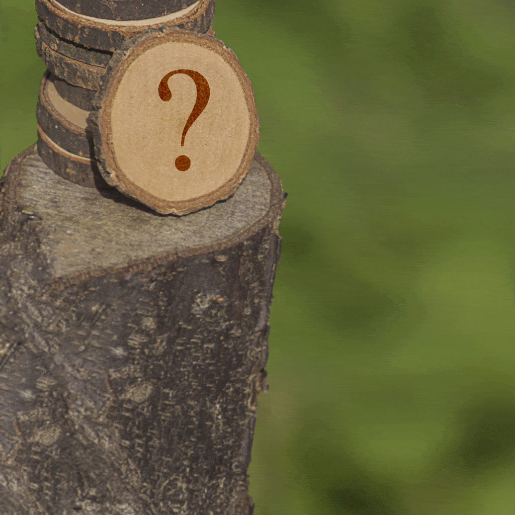 question mark on tree stump tree health consultation honalulu hi kallua hi 