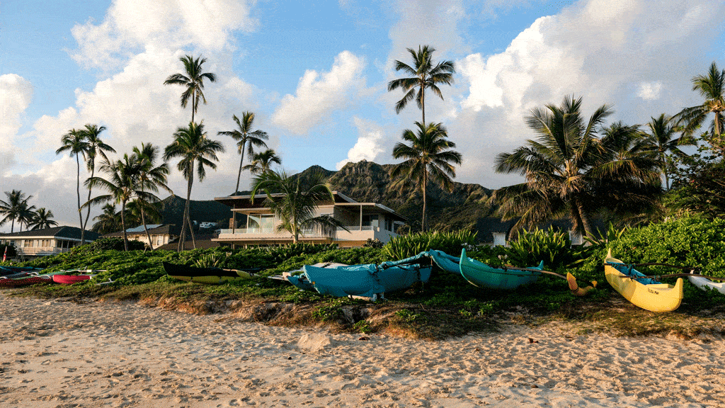 beach front house with little boats and lots of trees tree service lanikai hi honalulu hi 