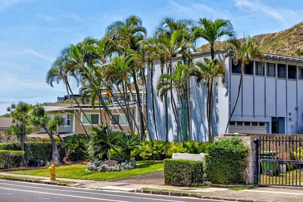 blue house in hawaii with trees all around tree service honalulu hi kaneohe hi