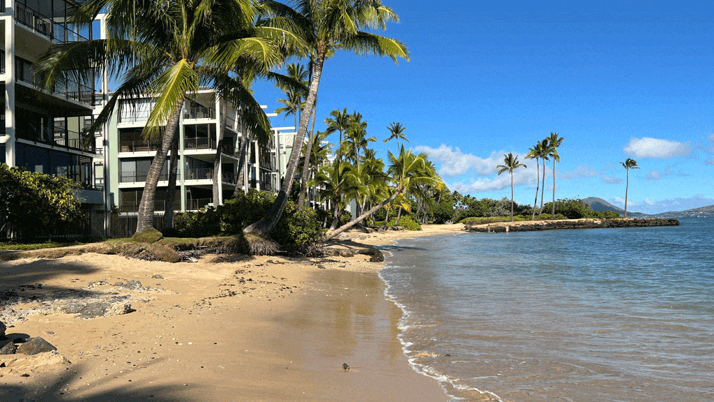 condos on a beach with multiple trees tree service kahala hi honalulu hi