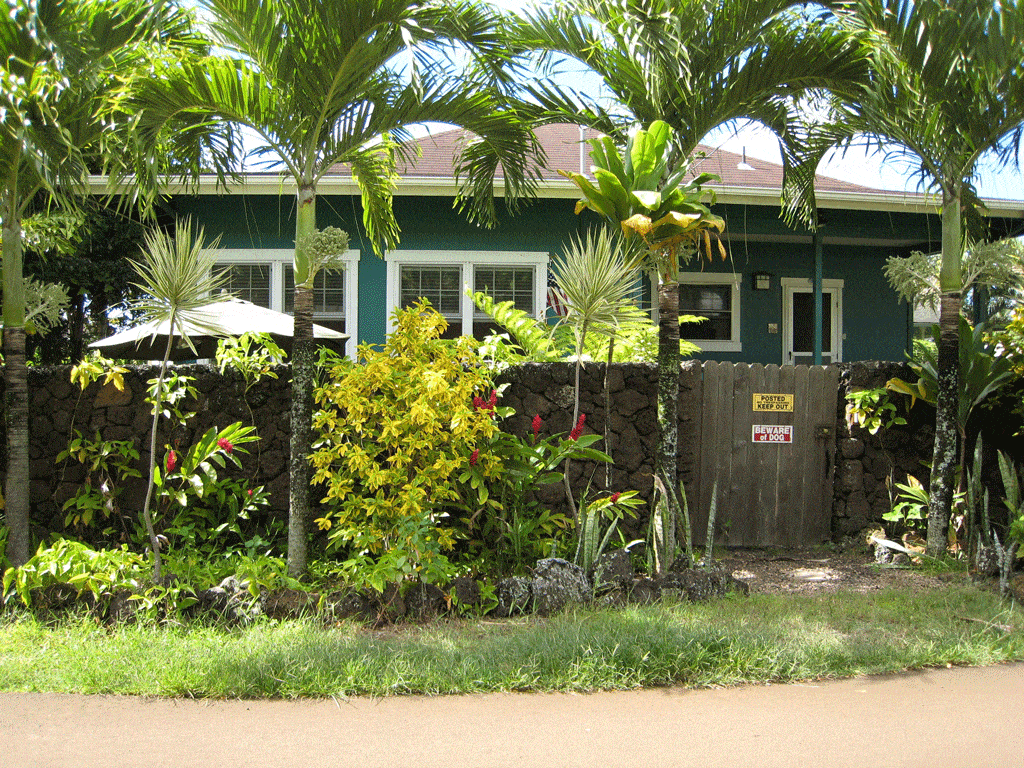 small house in hawaii surrounded by trees tree service laie HI honalulu HI 