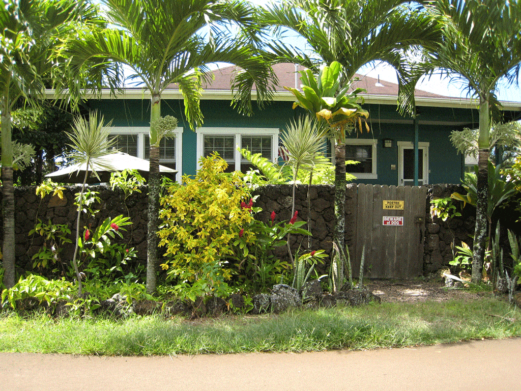 small house in hawaii surrounded by trees tree service laie HI honalulu HI