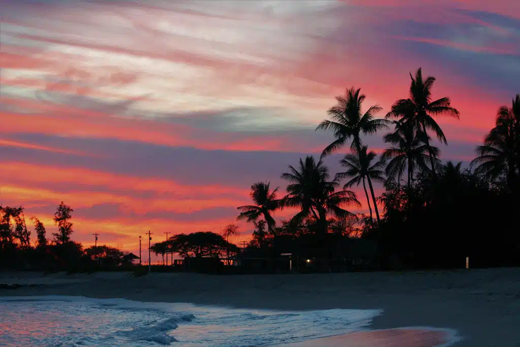 sunset with the trees in the background tree services ewa beach Hi honalulu HI