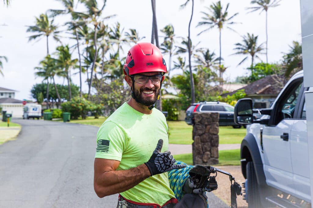 smiling tree service climber