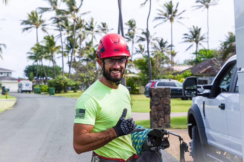 Selecting Mana Home Services as your reliable tree service provider for palm tree trimming.