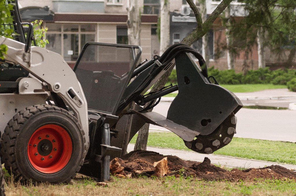 Stump Grinding: A piece of equipment being used to grind a tree stump in Honolulu, Oahu, Hawaii.