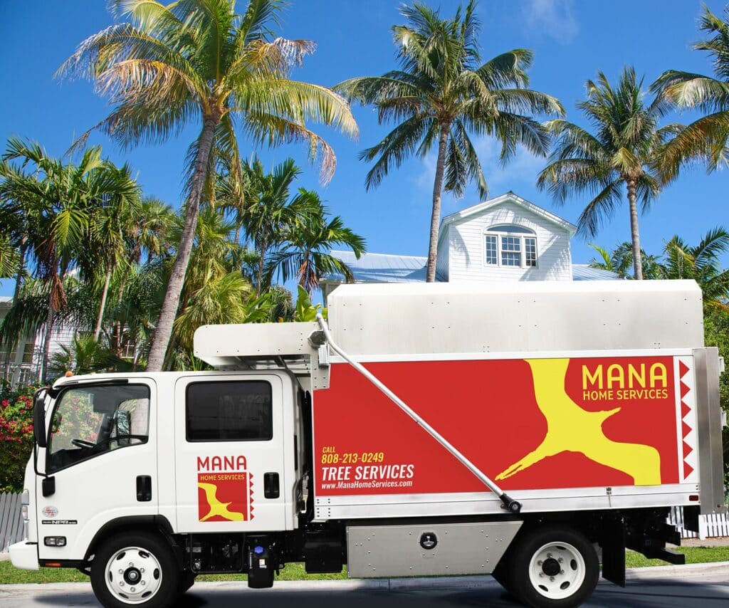 Mana Home Services 