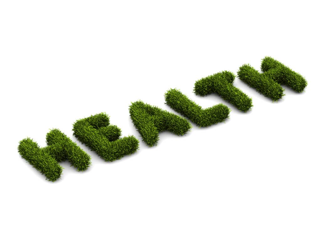 The word 'health' covered in grass, symbolizing Tree Health Consultation by Mana Home Services.