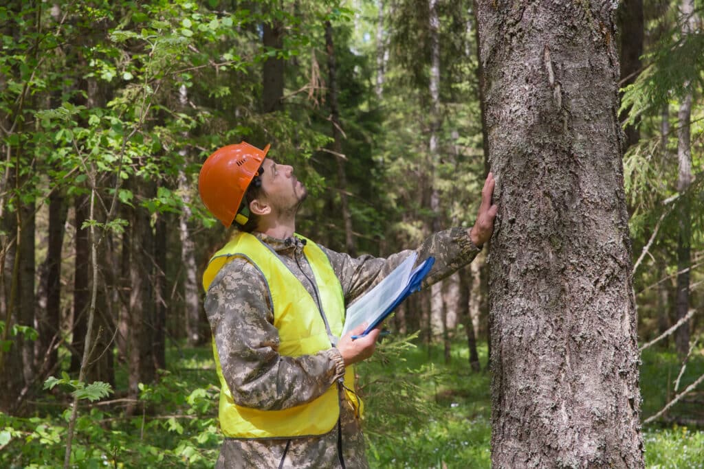 Tree Health Consultation by Mana Home Services