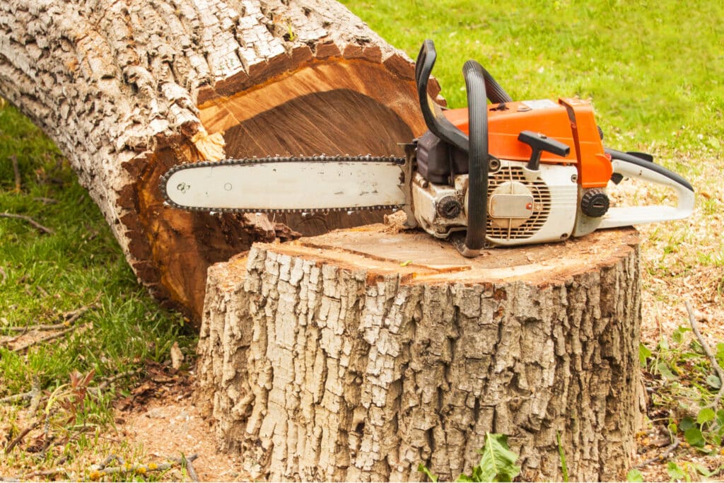 A professional chainsaw, powered by gasoline, being used for tree removal.