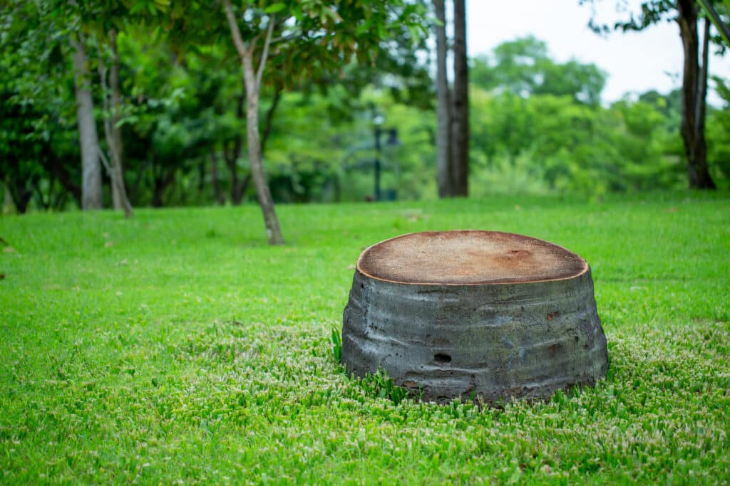 Stump Grinding