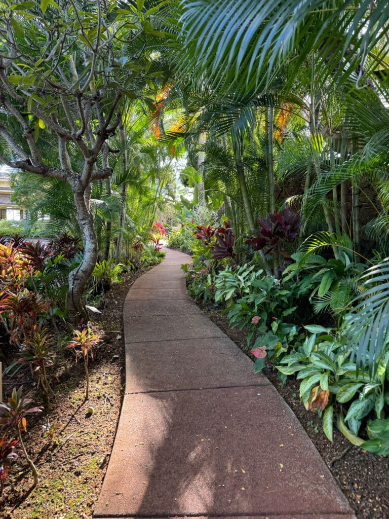 residential tree pruning in oahu