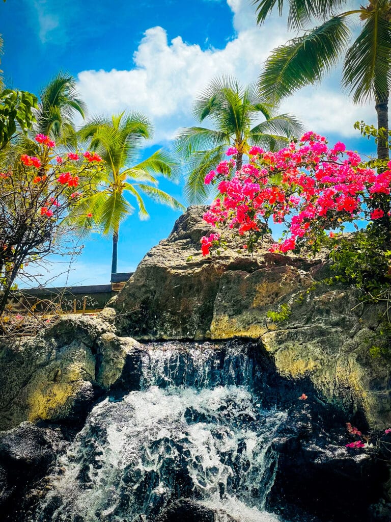 residential tree pruning in honolulu