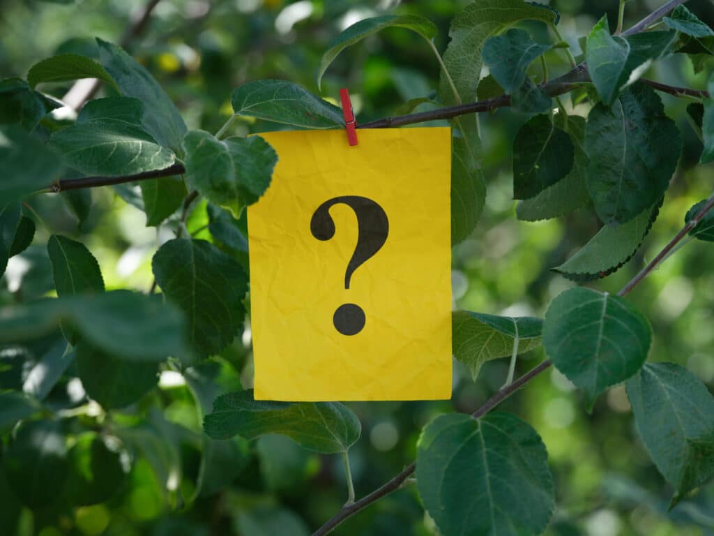 Tree Health Assessments