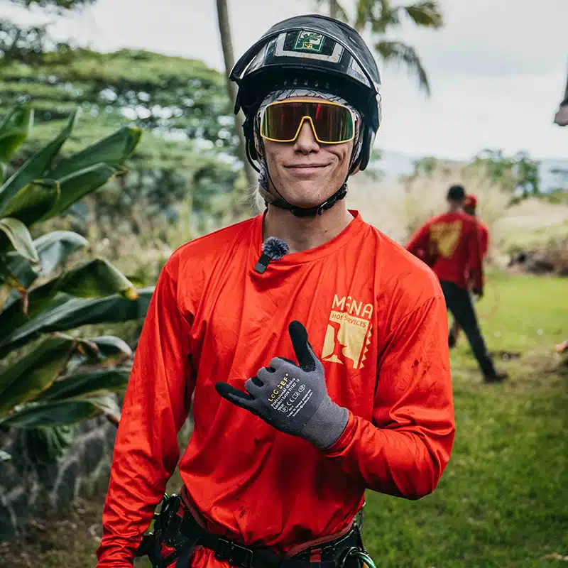 mana-home-services-honolulu-tree-service-05