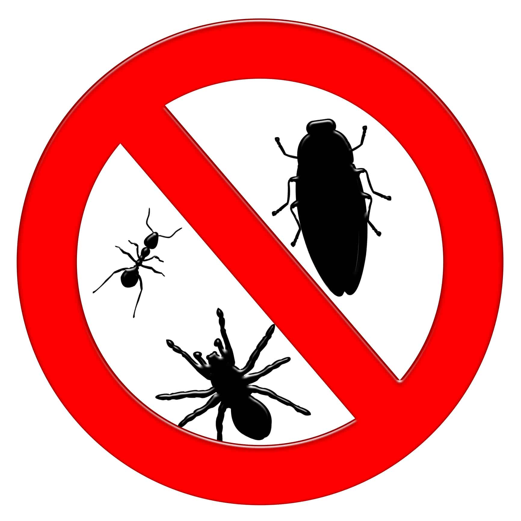 Stop Pest Infestations, Tree Stump Removal.