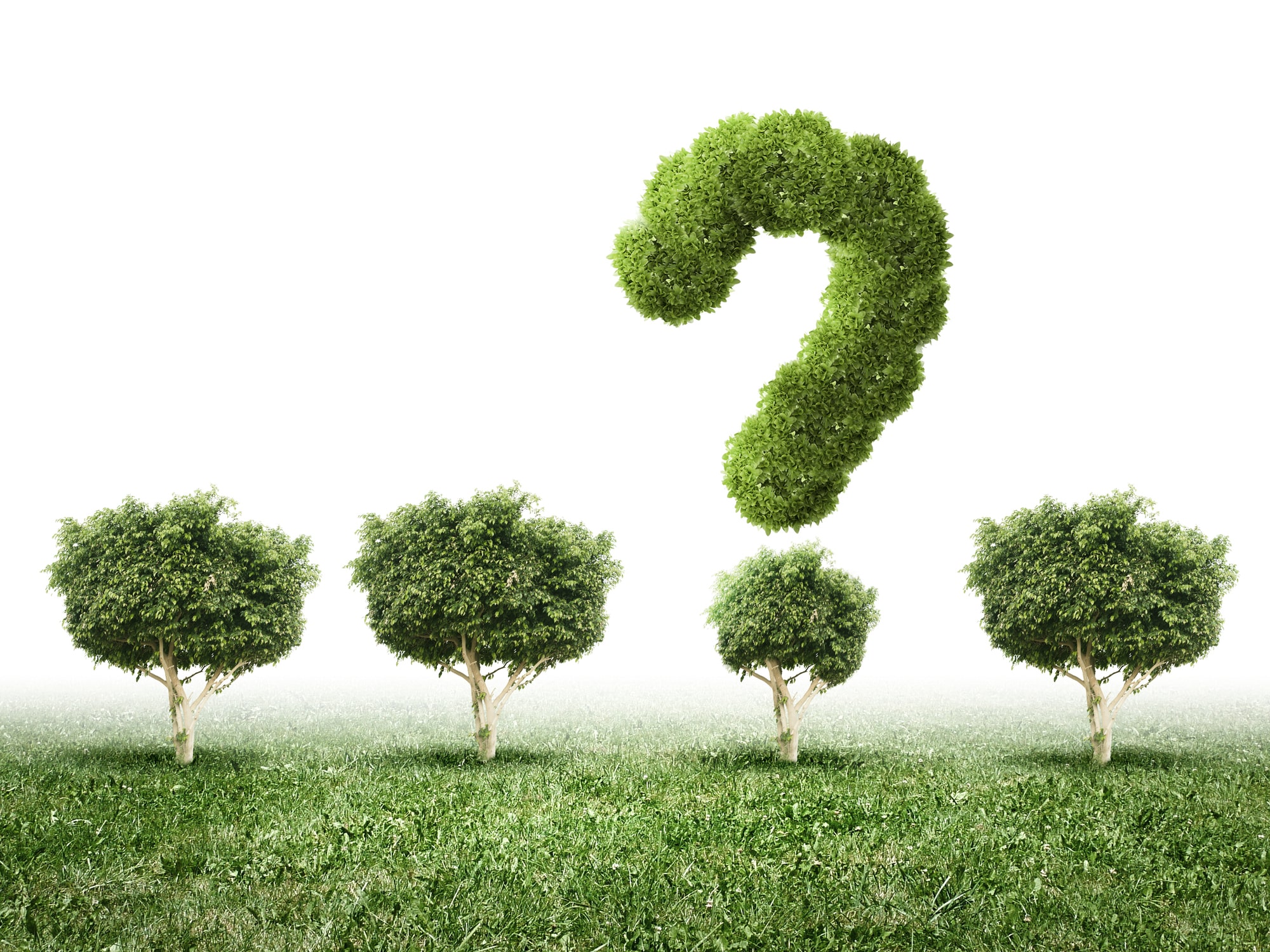 Tree Growth Question Mark.