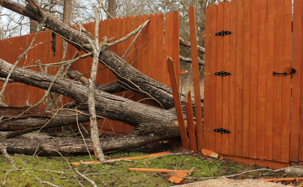 Protect Trees from Storm Damage.