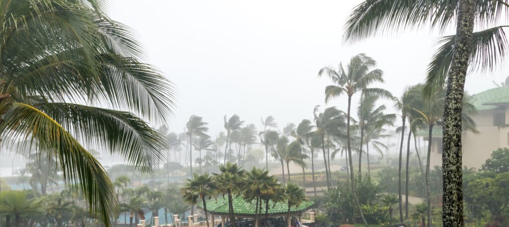 Rainy Season.