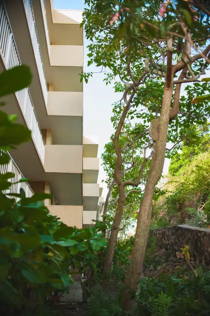 commercial & HOA tree service company