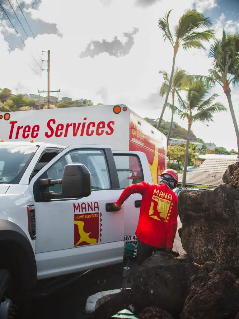 HOA Tree Services.