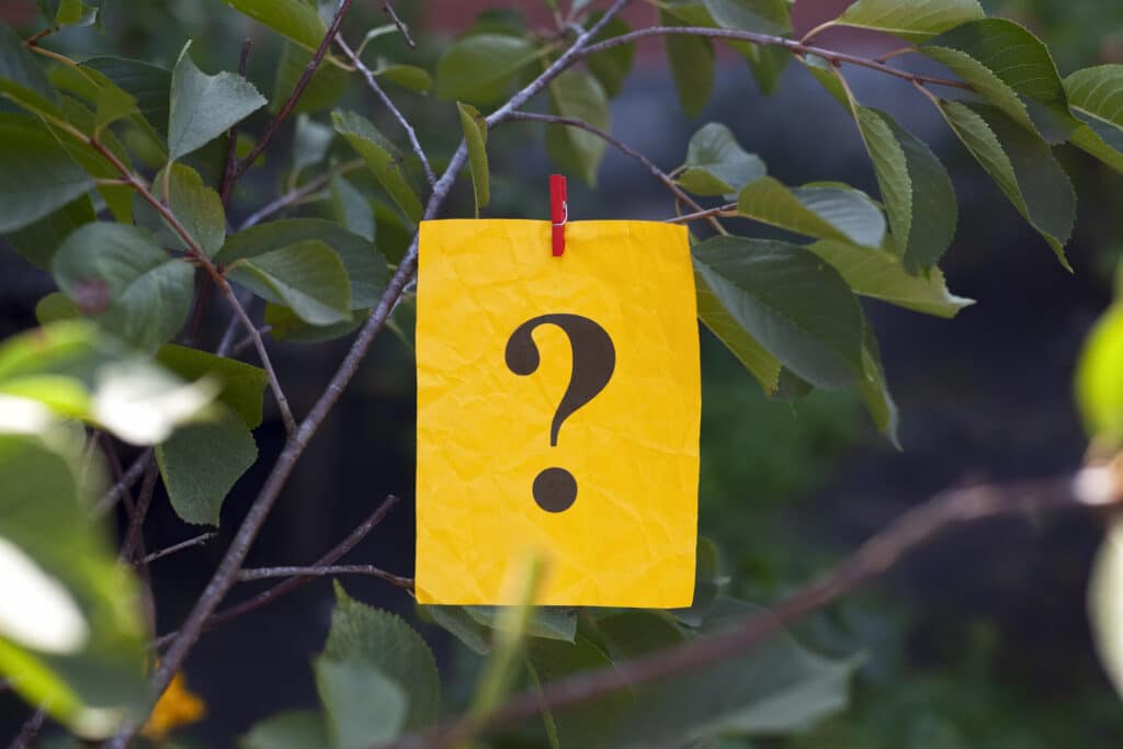 How to Identify Tree Branches Prone to Breaking.