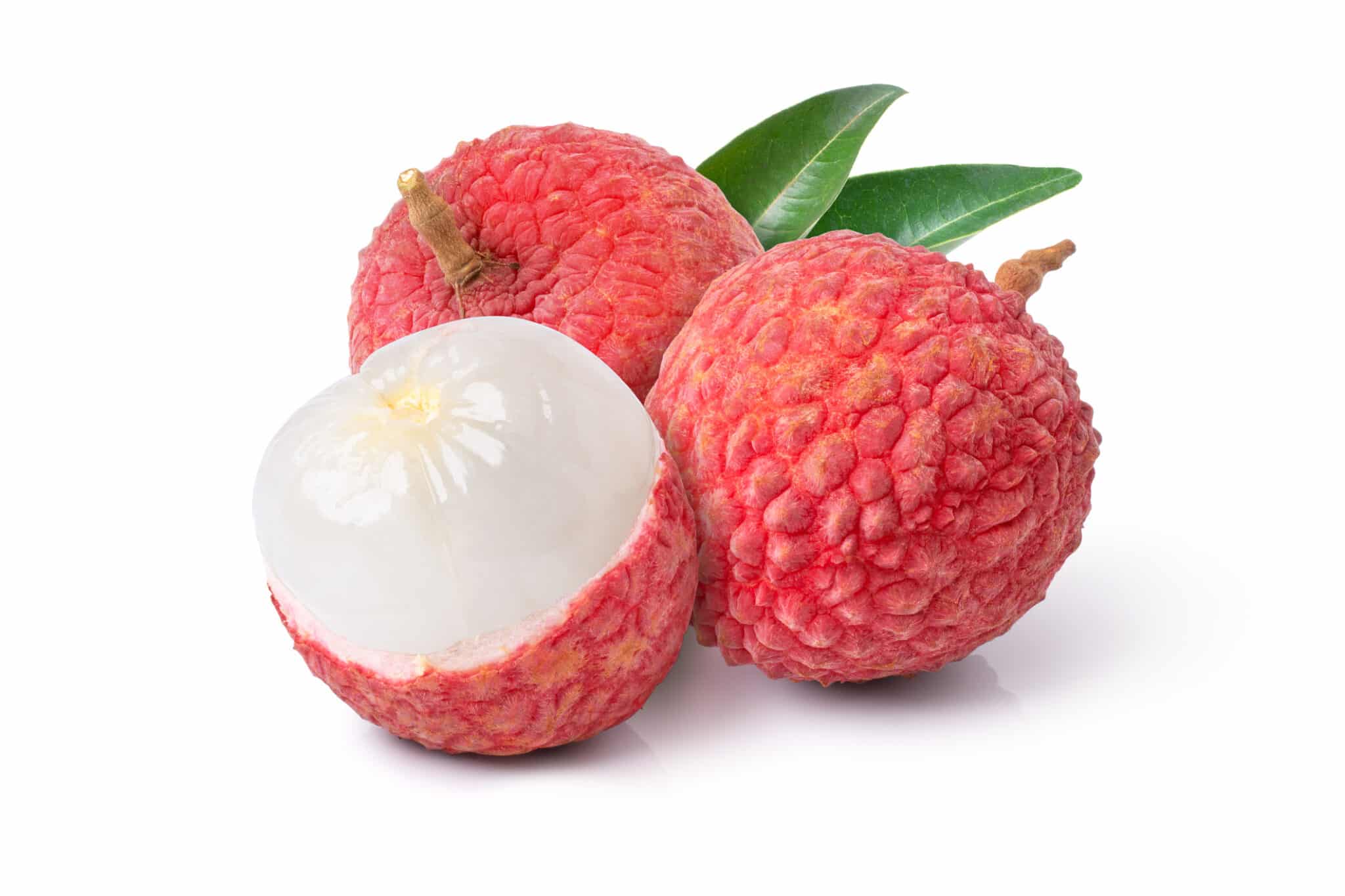 Litchi chinensis.