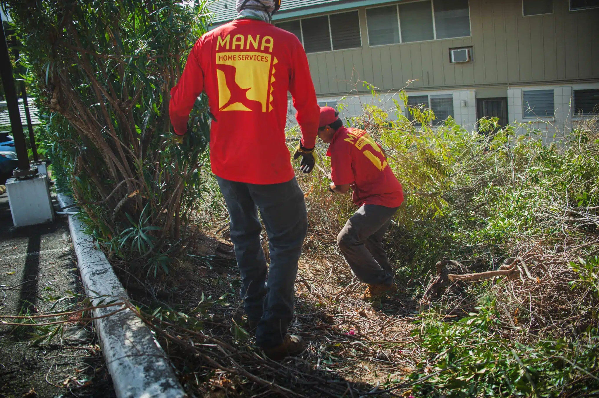 HOA Tree Services.