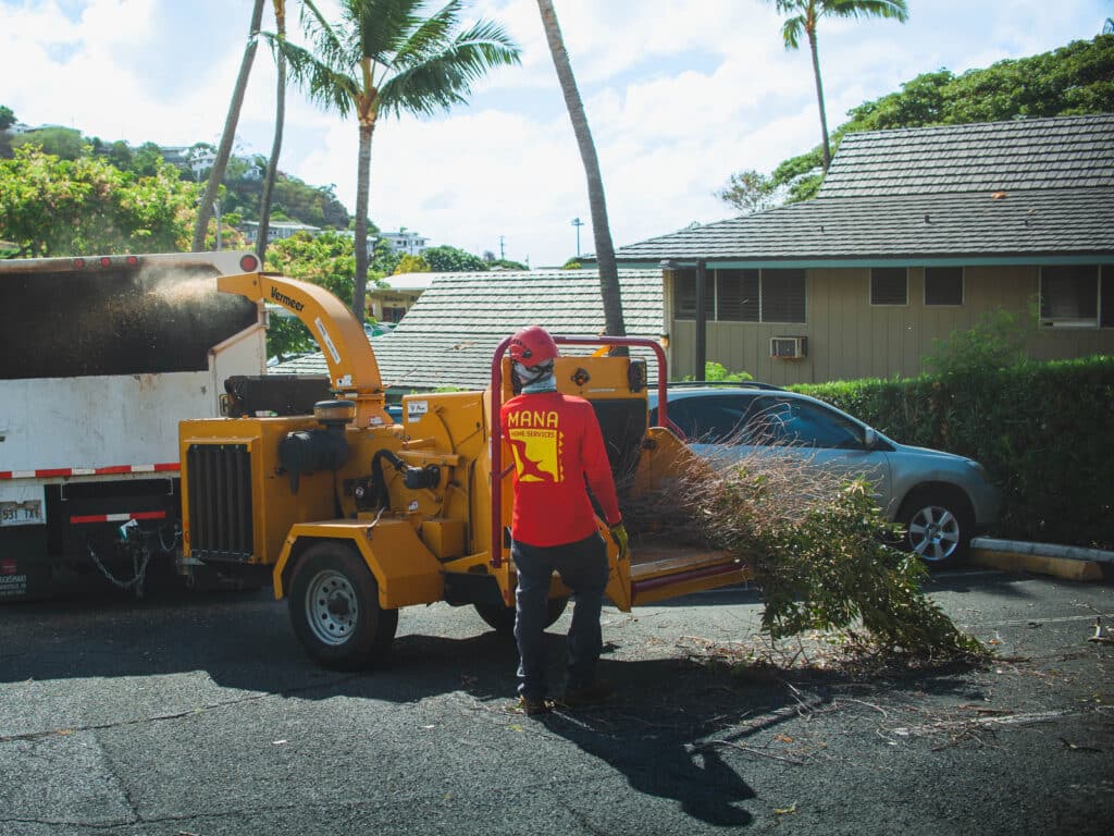 Schedule tree removal services.